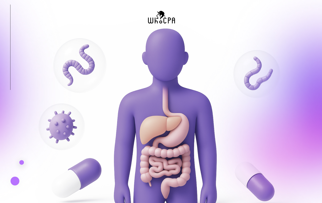 Digestive system